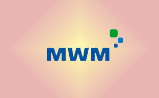 ✓ MWM 0335 3514 Запчасть MWM 